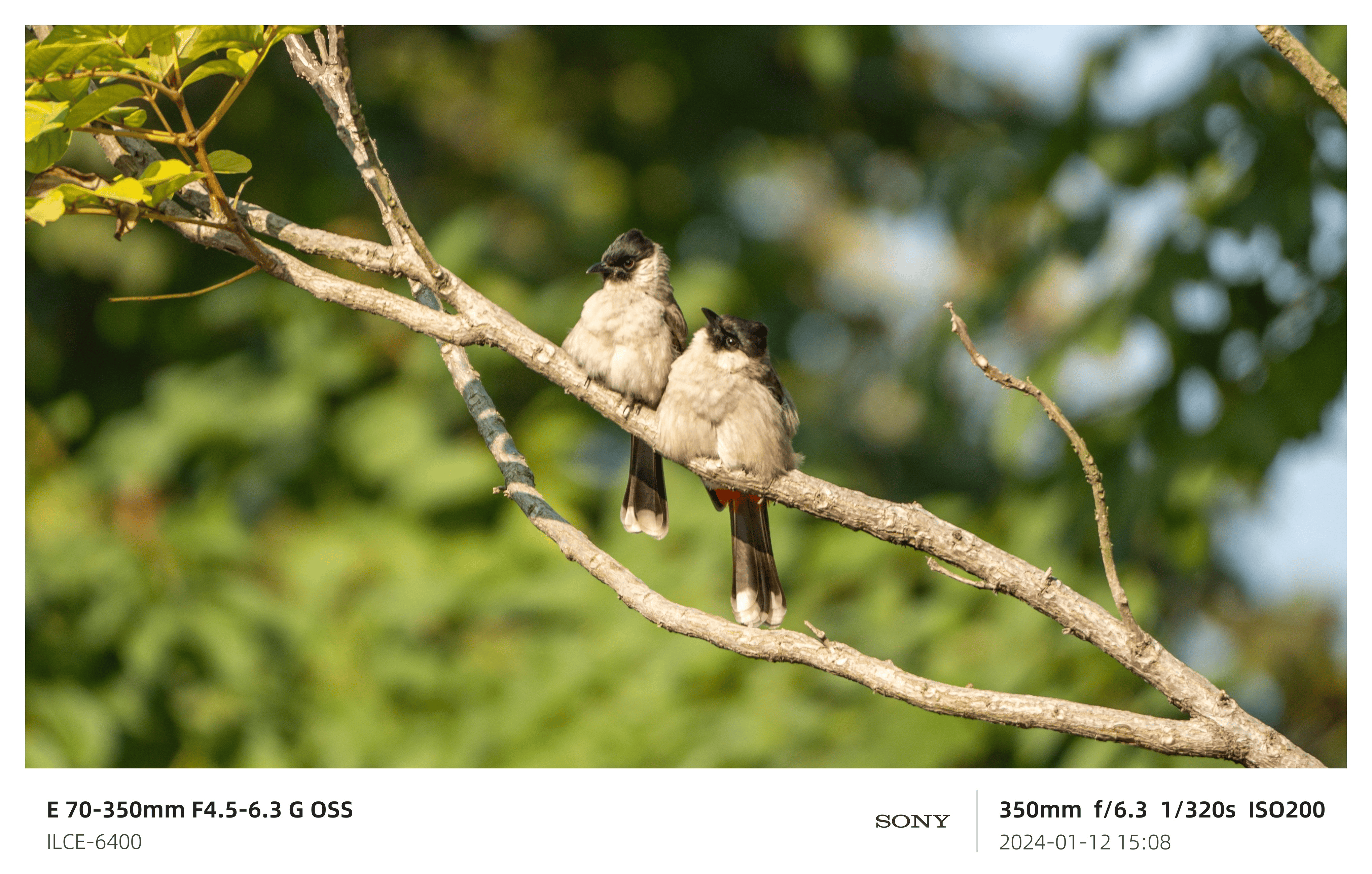 Cover Image of the Post