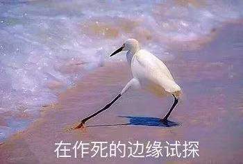 2ea66ec4578b37d6e3239e0a3e4161b0.jpg